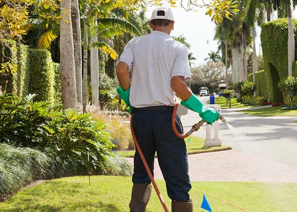 About Prole IA Pest Control